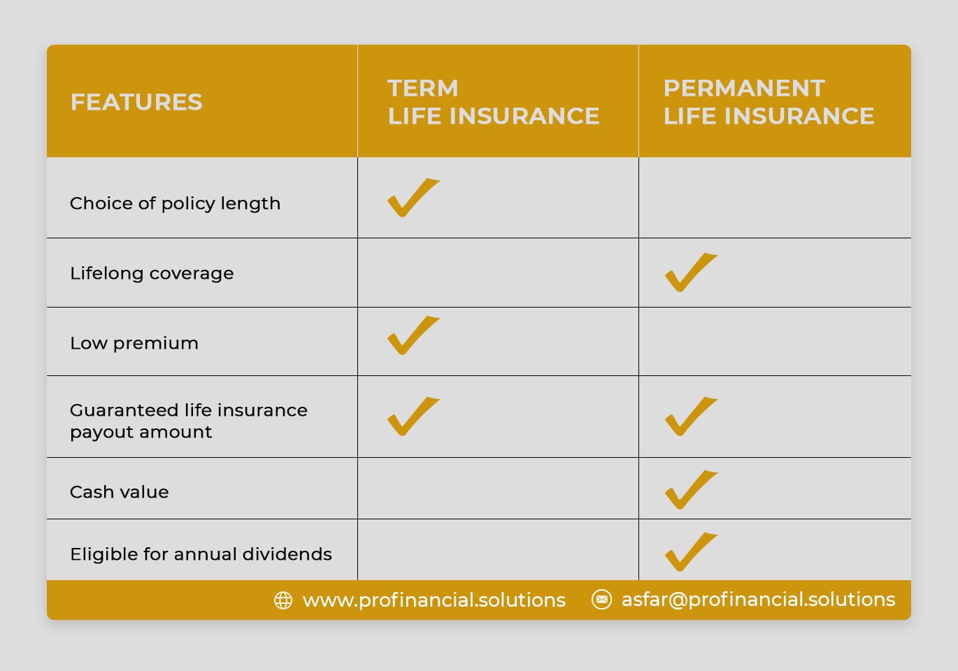 Term Vs Permanent Insurance How To Choose The Right Insurance Plan Dubai Uae